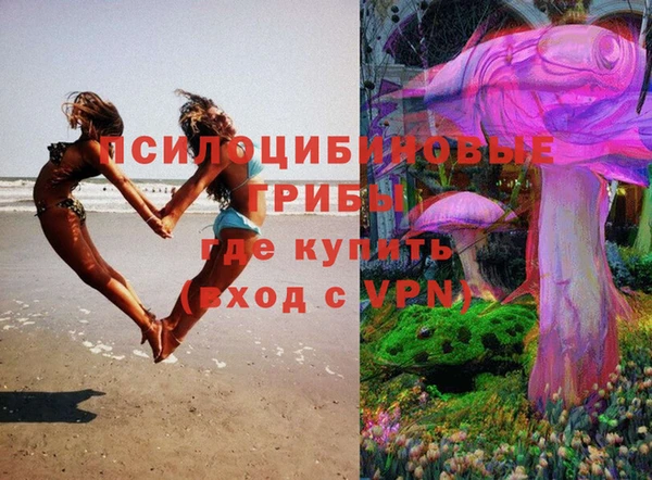 тгк Осташков