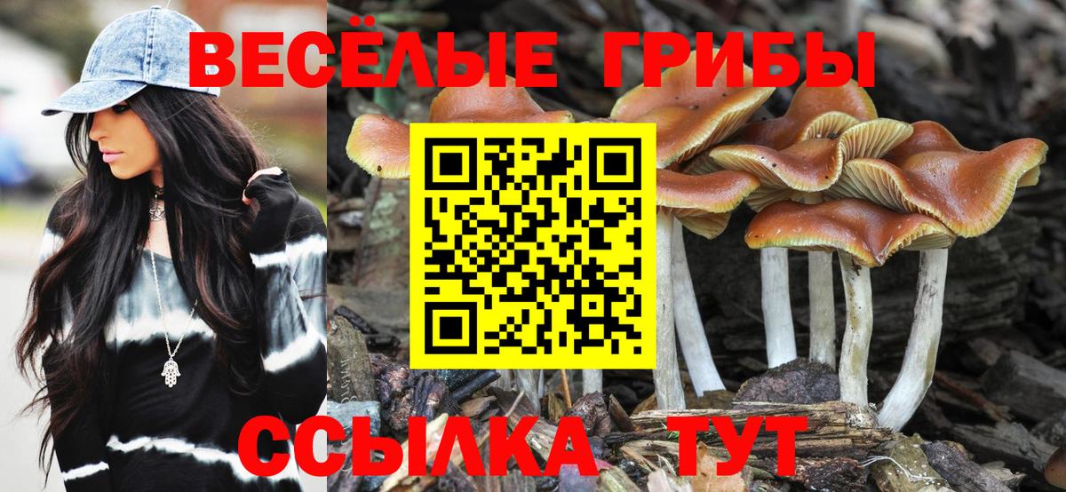 Галлюциногенные грибы Psilocybine cubensis  Красноармейск 